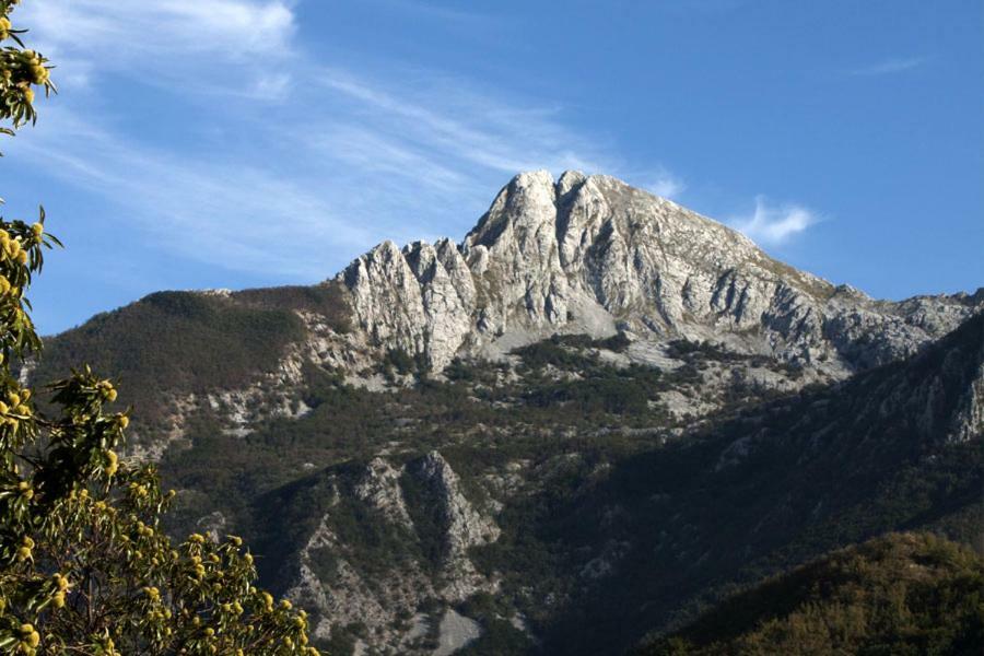 Borgo Delle Panie Bed & Breakfast Careggine Eksteriør bilde