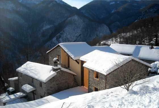 Borgo Delle Panie Bed & Breakfast Careggine Eksteriør bilde