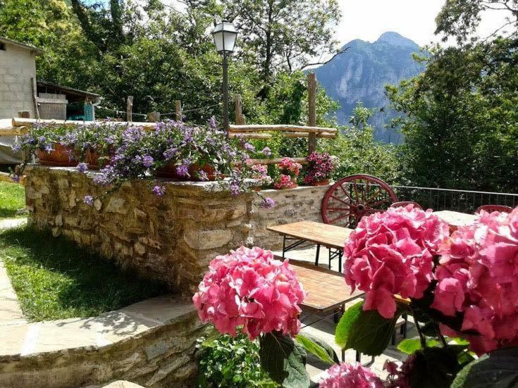 Borgo Delle Panie Bed & Breakfast Careggine Eksteriør bilde
